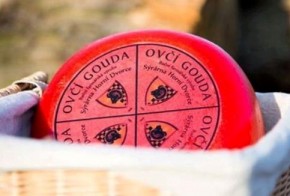 Gouda ovčí 1kg